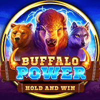 Sức mạnh của Trâu rừng thumbnail